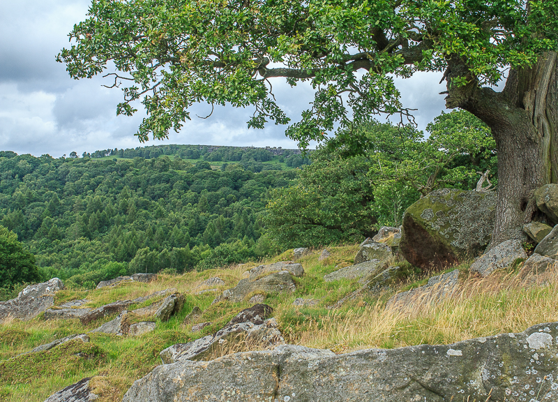 Birchen Edge Birchen Edge
